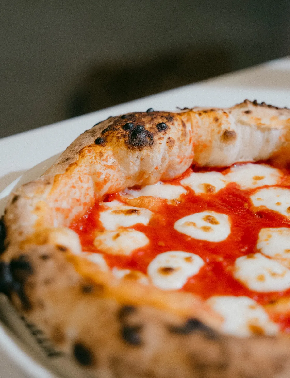 Pizza Shed